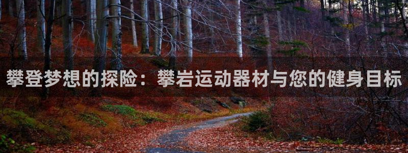 风速体育官网下载平台注册要钱吗是真的吗：攀登梦想的探险：攀岩