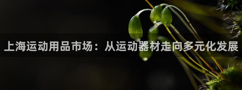 风速体育官网下载注册：上海运动用品市场：从运动器材走