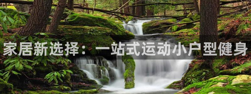 风速体育官网下载平台是正规平台吗：家居新选择：一站式运动小户