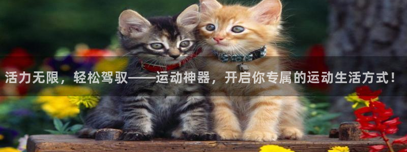 风速体育官方正版app娱乐代理怎么样：活力无限，轻松