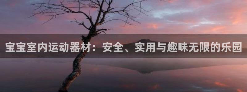 风速体育官方正版app娱乐下载：宝宝室内运动器材：安全、实用