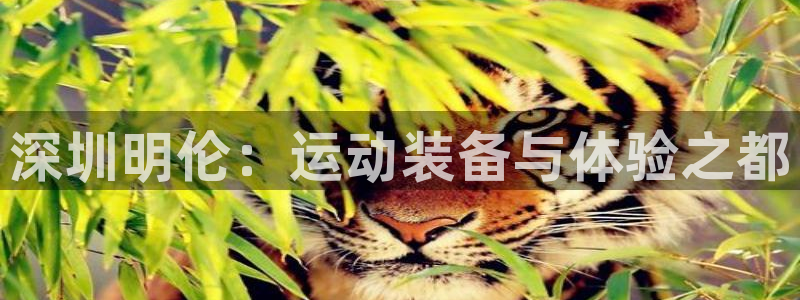 风速体育官网下载平台：深圳明伦：运动装备与体验之都