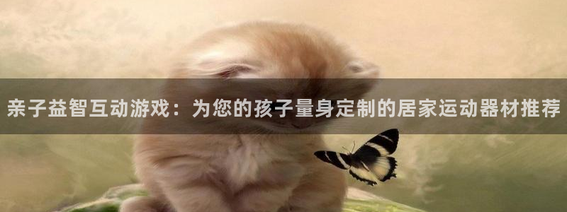 风速体育官网下载平台是正规平台吗安全吗：亲子益智互动游戏：为