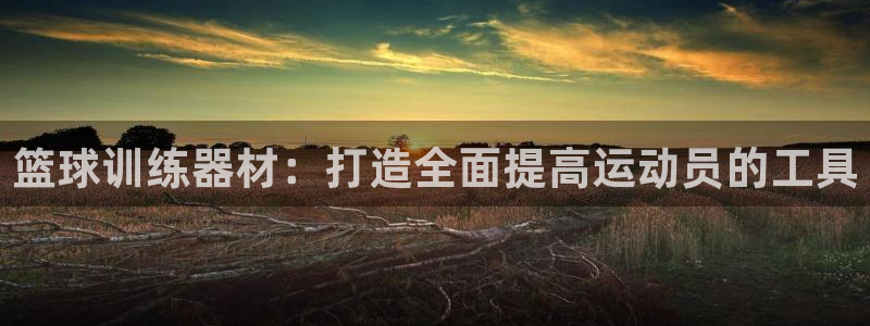 风速体育官方正版app娱乐是那个系列的台子：篮球训练