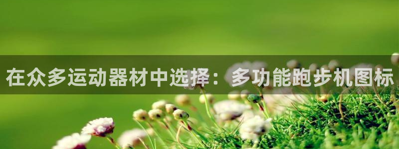 风速体育官网下载招商电话号码是多少号：在众多运动器材中选择：