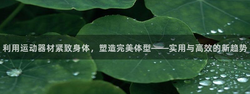 风速体育官方正版app娱乐代理怎么样：利用运动器材紧
