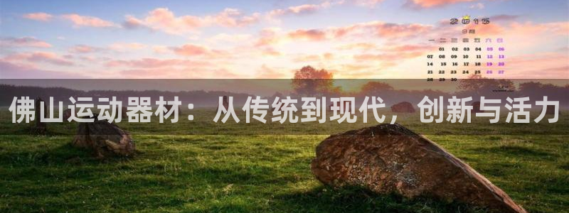 风速体育官网下载平台注册：佛山运动器材：从传统到现代