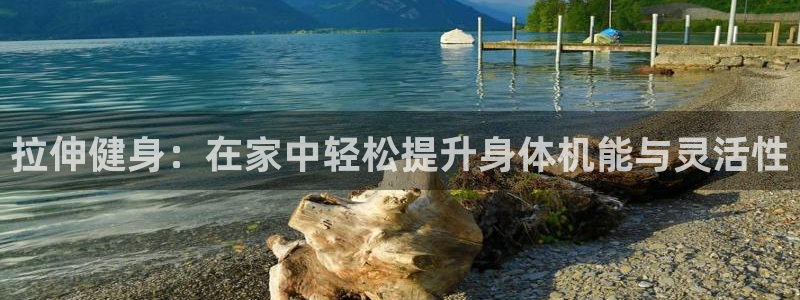 风速体育官方正版app娱乐平台：拉伸健身：在家中轻松提升身体