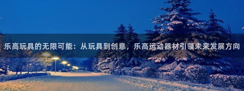 风速体育官方正版app集团简介